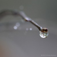 /album/galerie-photos/frida-dumont-img-4751-jpg/